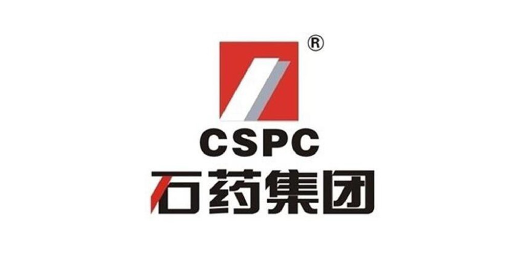 大連石藥控股集團(tuán)有限公司